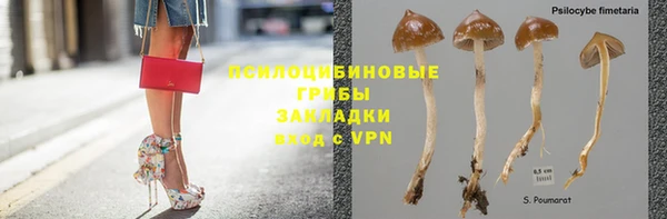 сатива Волосово