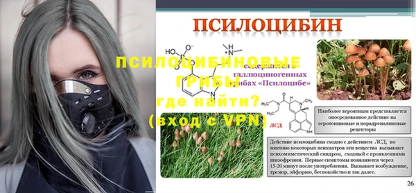 сатива Волосово