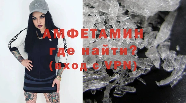 сатива Волосово