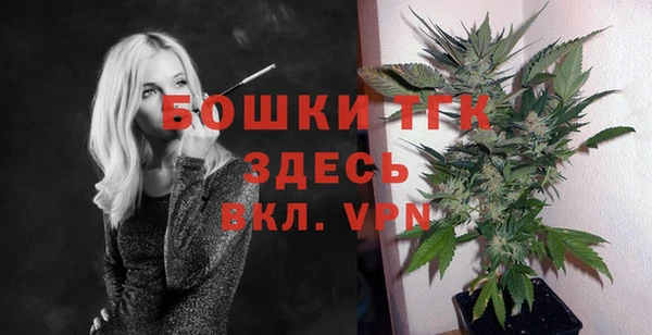 сатива Волосово