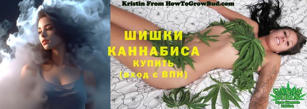 сатива Волосово